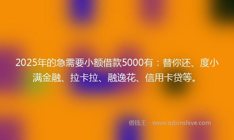 2025年的急需要小额借款5000有：替你还、度小满金融、拉卡拉、融逸花、信用卡贷等。