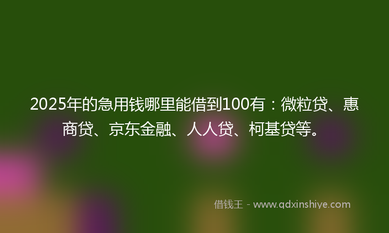 2025年的急用钱哪里能借到100有：微粒贷、惠商贷、京东金融、人人贷、柯基贷等。