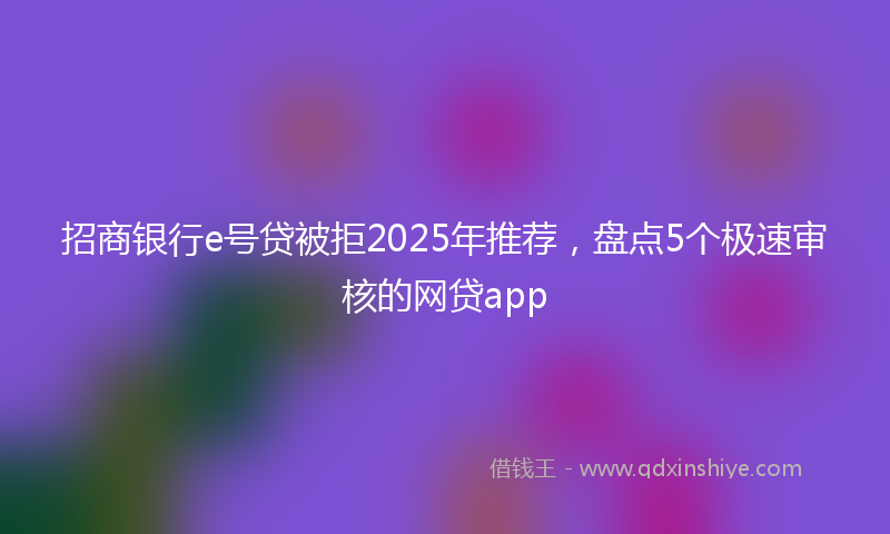 招商银行e号贷被拒2025年推荐，盘点5个极速审核的网贷app