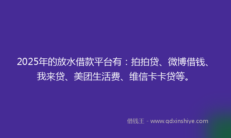 2025年的放水借款平台有：拍拍贷、微博借钱、我来贷、美团生活费、维信卡卡贷等。