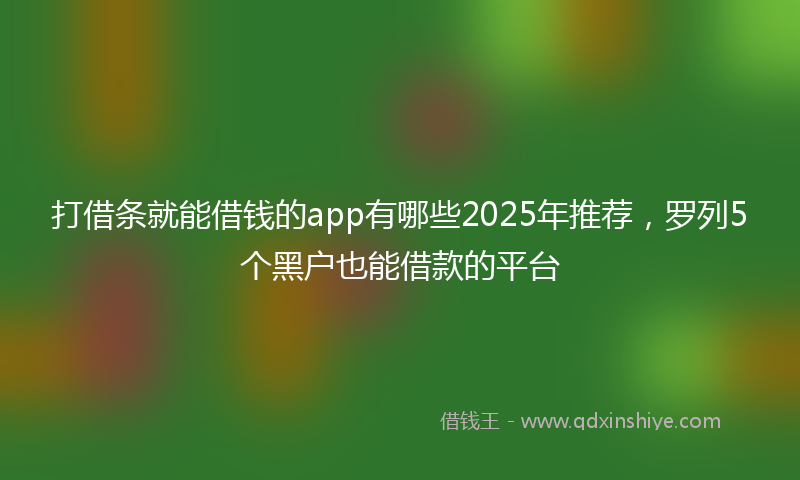 打借条就能借钱的app有哪些2025年推荐，罗列5个黑户也能借款的平台