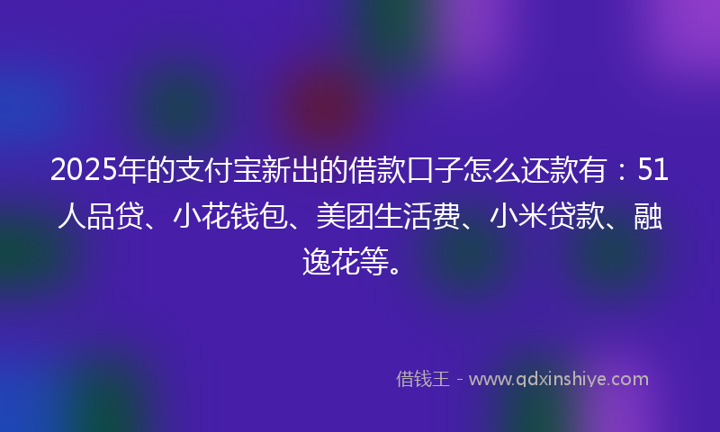 2025年的支付宝新出的借款口子怎么还款有：51人品贷、小花钱包、美团生活费、小米贷款、融逸花等。