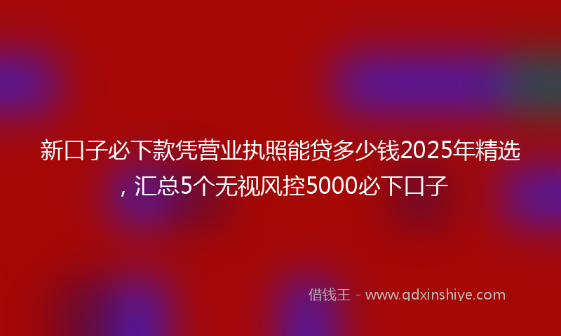 新口子必下款凭营业执照能贷多少钱2025年精选，汇总5个无视风控5000必下口子