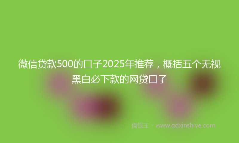 微信贷款500的口子2025年推荐，概括五个无视黑白必下款的网贷口子