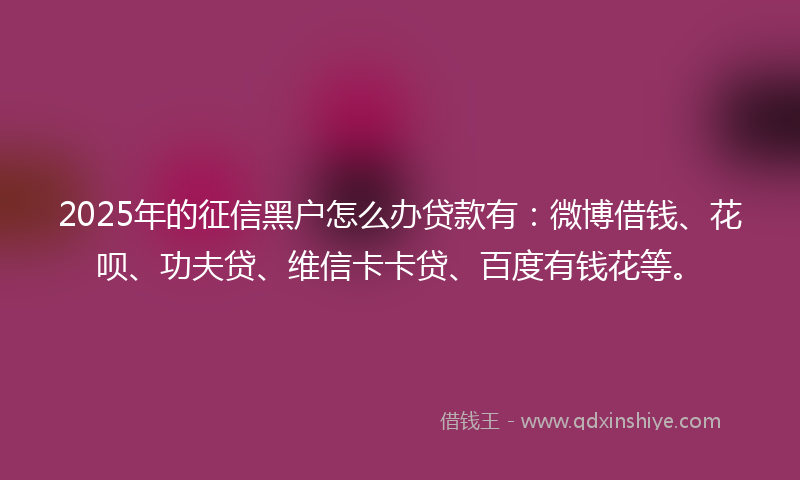 2025年的征信黑户怎么办贷款有：微博借钱、花呗、功夫贷、维信卡卡贷、百度有钱花等。