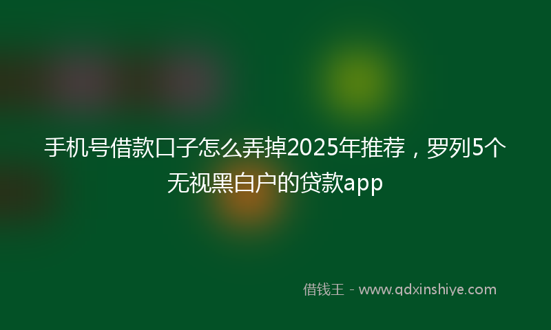 手机号借款口子怎么弄掉2025年推荐，罗列5个无视黑白户的贷款app