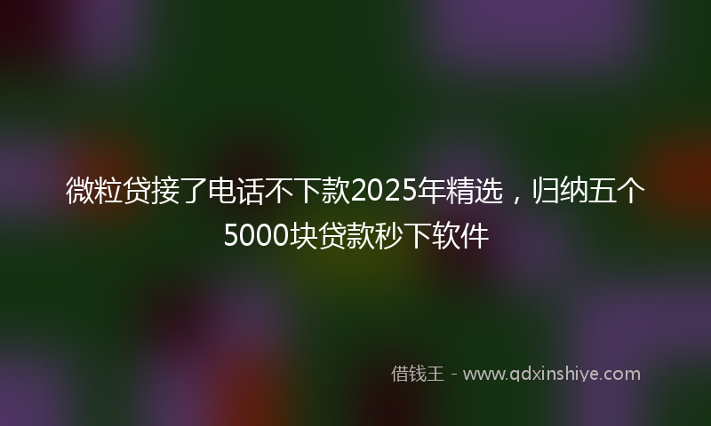 微粒贷接了电话不下款2025年精选，归纳五个5000块贷款秒下软件