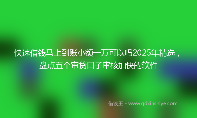 快速借钱马上到账小额一万可以吗2025年精选，盘点五个审贷口子审核加快的软件