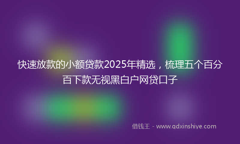 快速放款的小额贷款2025年精选，梳理五个百分百下款无视黑白户网贷口子
