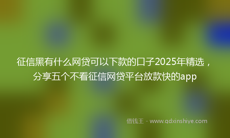 征信黑有什么网贷可以下款的口子2025年精选，分享五个不看征信网贷平台放款快的app