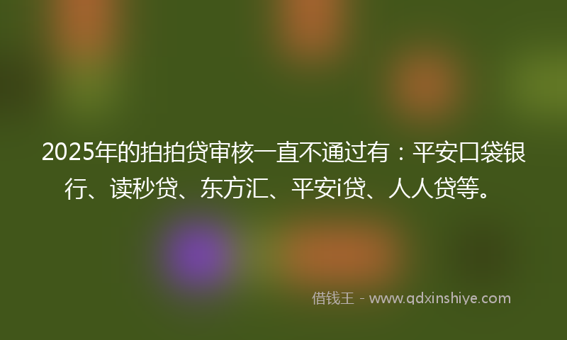 2025年的拍拍贷审核一直不通过有：平安口袋银行、读秒贷、东方汇、平安i贷、人人贷等。