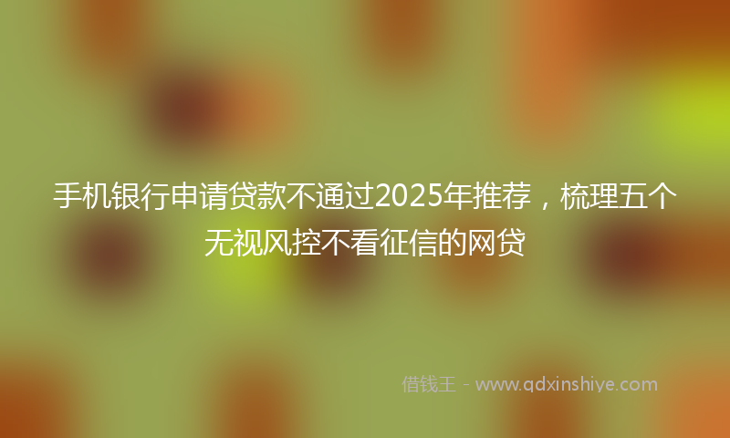 手机银行申请贷款不通过2025年推荐，梳理五个无视风控不看征信的网贷