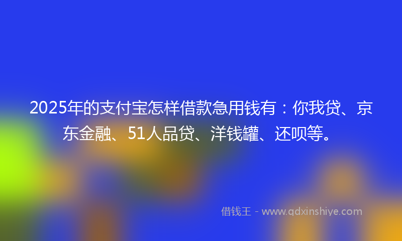 2025年的支付宝怎样借款急用钱有：你我贷、京东金融、51人品贷、洋钱罐、还呗等。