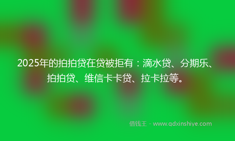 2025年的拍拍贷在贷被拒有：滴水贷、分期乐、拍拍贷、维信卡卡贷、拉卡拉等。