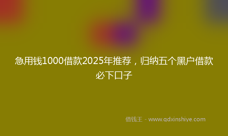 急用钱1000借款2025年推荐，归纳五个黑户借款必下口子