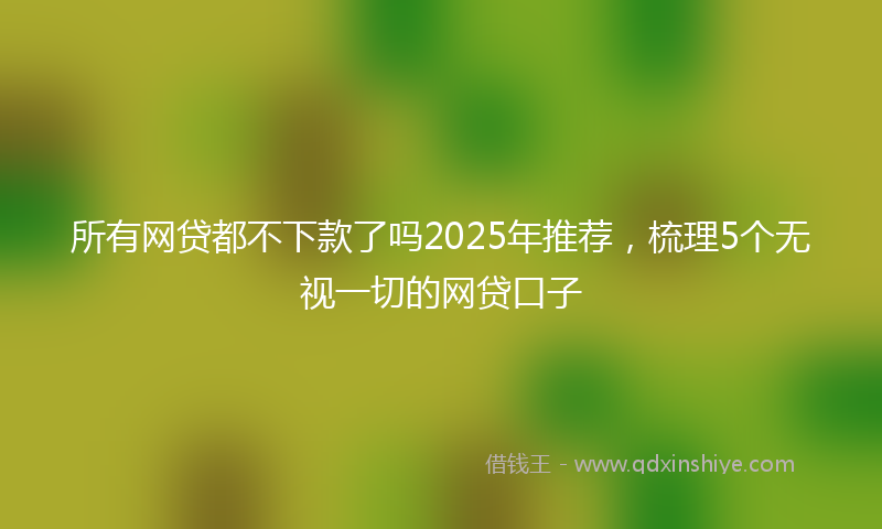 所有网贷都不下款了吗2025年推荐，梳理5个无视一切的网贷口子