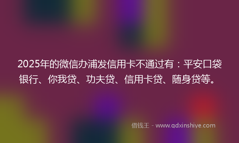 2025年的微信办浦发信用卡不通过有：平安口袋银行、你我贷、功夫贷、信用卡贷、随身贷等。