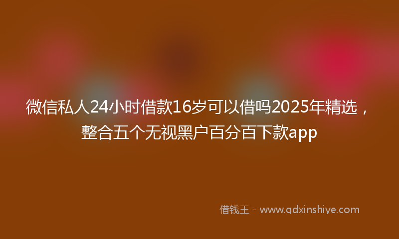 微信私人24小时借款16岁可以借吗2025年精选，整合五个无视黑户百分百下款app