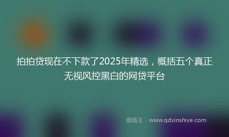 拍拍贷现在不下款了2025年精选，概括五个真正无视风控黑白的网贷平台