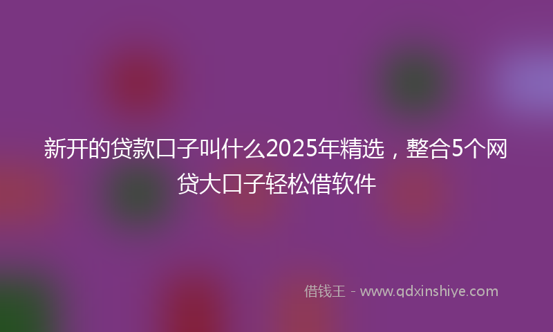 新开的贷款口子叫什么2025年精选，整合5个网贷大口子轻松借软件