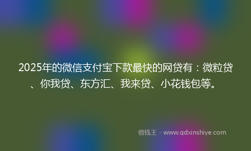 2025年的微信支付宝下款最快的网贷有：微粒贷、你我贷、东方汇、我来贷、小花钱包等。