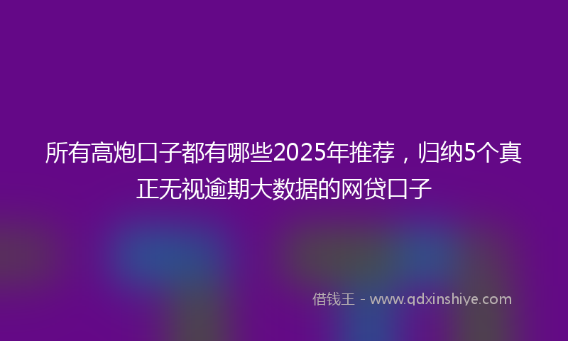 所有高炮口子都有哪些2025年推荐，归纳5个真正无视逾期大数据的网贷口子