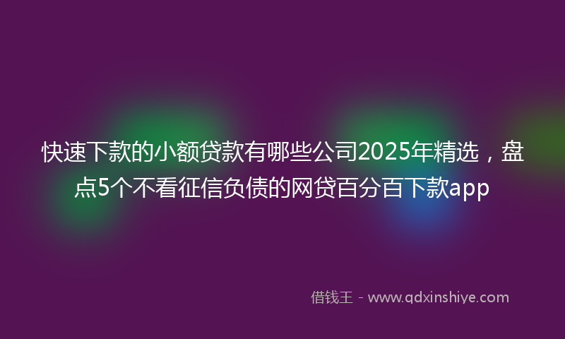 快速下款的小额贷款有哪些公司2025年精选，盘点5个不看征信负债的网贷百分百下款app