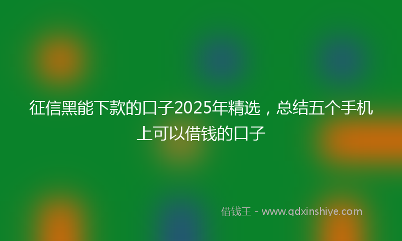征信黑能下款的口子2025年精选，总结五个手机上可以借钱的口子