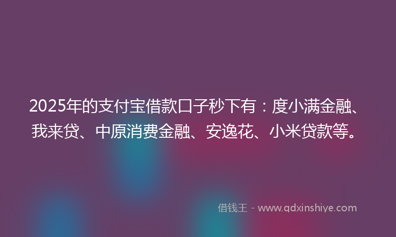 2025年的支付宝借款口子秒下有：度小满金融、我来贷、中原消费金融、安逸花、小米贷款等。