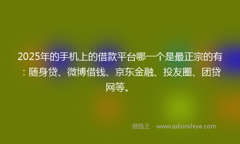 2025年的手机上的借款平台哪一个是最正宗的有：随身贷、微博借钱、京东金融、投友圈、团贷网等。