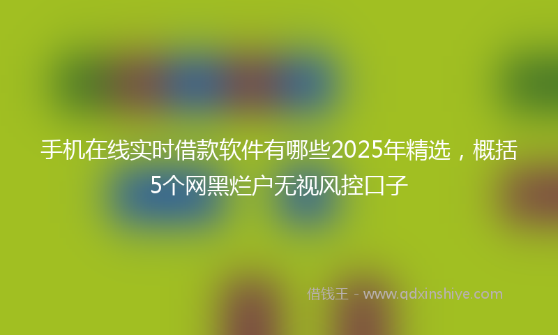 手机在线实时借款软件有哪些2025年精选，概括5个网黑烂户无视风控口子
