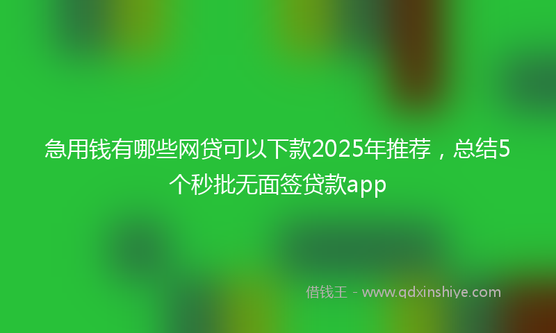 急用钱有哪些网贷可以下款2025年推荐，总结5个秒批无面签贷款app