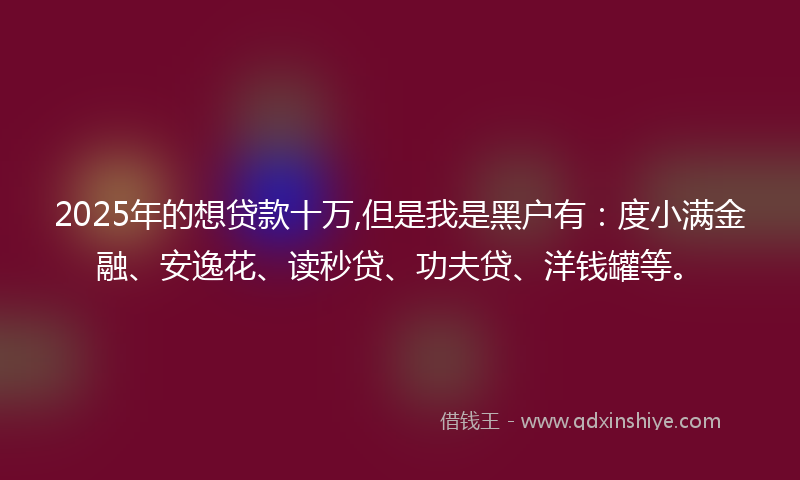 2025年的想贷款十万,但是我是黑户有：度小满金融、安逸花、读秒贷、功夫贷、洋钱罐等。
