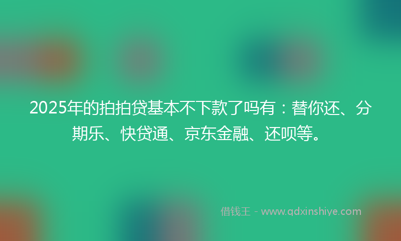 2025年的拍拍贷基本不下款了吗有：替你还、分期乐、快贷通、京东金融、还呗等。