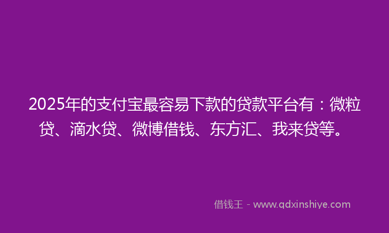 2025年的支付宝最容易下款的贷款平台有：微粒贷、滴水贷、微博借钱、东方汇、我来贷等。