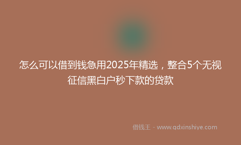 怎么可以借到钱急用2025年精选，整合5个无视征信黑白户秒下款的贷款
