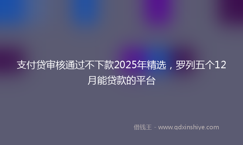 支付贷审核通过不下款2025年精选，罗列五个12月能贷款的平台