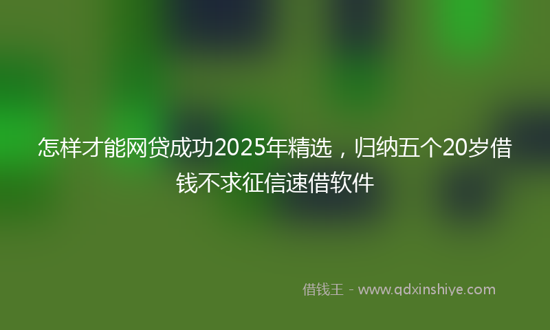 怎样才能网贷成功2025年精选，归纳五个20岁借钱不求征信速借软件