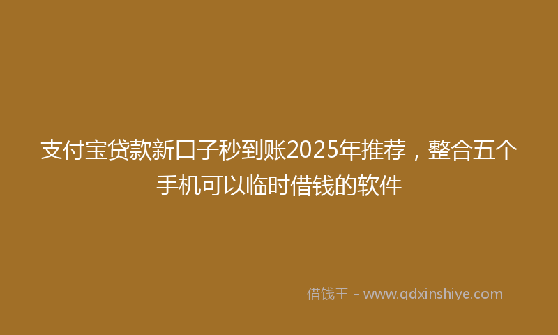 支付宝贷款新口子秒到账2025年推荐，整合五个手机可以临时借钱的软件
