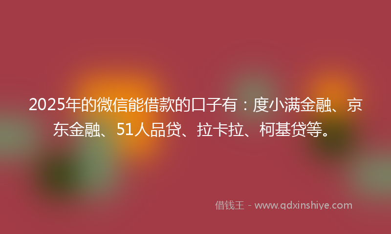 2025年的微信能借款的口子有：度小满金融、京东金融、51人品贷、拉卡拉、柯基贷等。