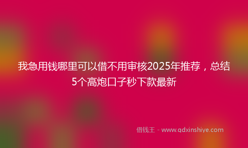 我急用钱哪里可以借不用审核2025年推荐，总结5个高炮口子秒下款最新