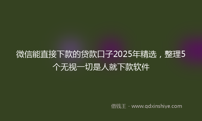 微信能直接下款的贷款口子2025年精选，整理5个无视一切是人就下款软件