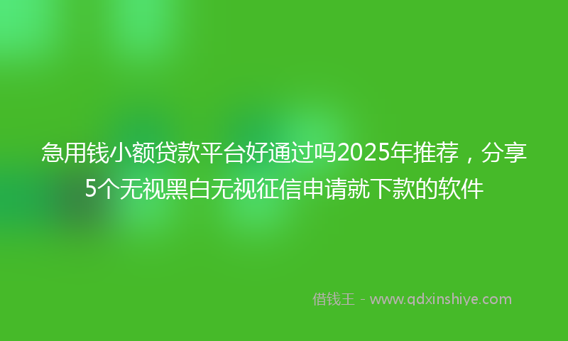 急用钱小额贷款平台好通过吗2025年推荐，分享5个无视黑白无视征信申请就下款的软件