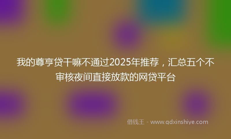 我的尊亨贷干嘛不通过2025年推荐，汇总五个不审核夜间直接放款的网贷平台
