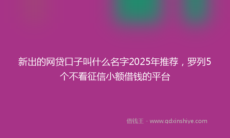 新出的网贷口子叫什么名字2025年推荐，罗列5个不看征信小额借钱的平台