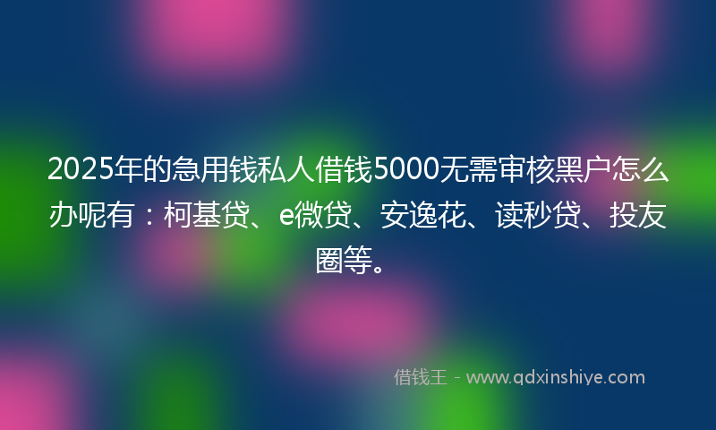 2025年的急用钱私人借钱5000无需审核黑户怎么办呢有：柯基贷、e微贷、安逸花、读秒贷、投友圈等。