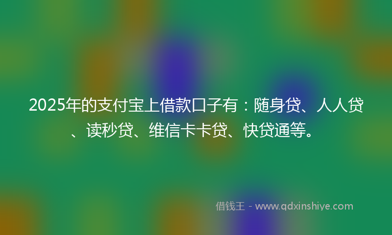 2025年的支付宝上借款口子有：随身贷、人人贷、读秒贷、维信卡卡贷、快贷通等。