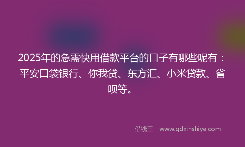 2025年的急需快用借款平台的口子有哪些呢有：平安口袋银行、你我贷、东方汇、小米贷款、省呗等。