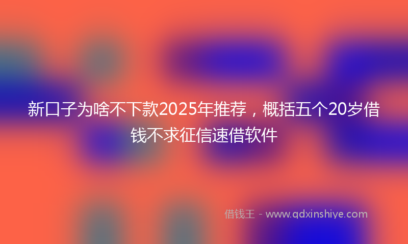 新口子为啥不下款2025年推荐，概括五个20岁借钱不求征信速借软件