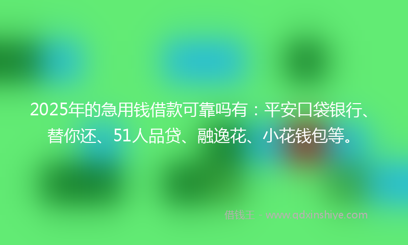 2025年的急用钱借款可靠吗有：平安口袋银行、替你还、51人品贷、融逸花、小花钱包等。